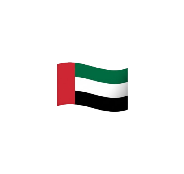 UAE flag